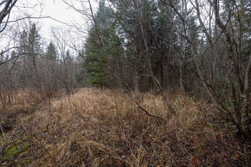 Mackinac 31.5 Noteboom-1663