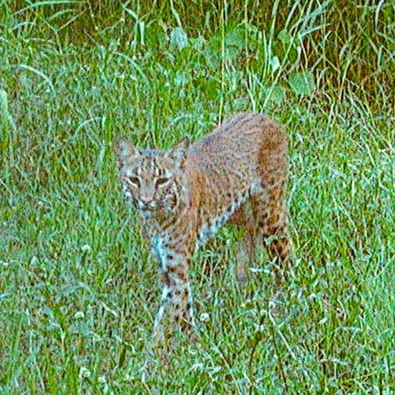 D1C36D15-3560-41D7-BBC3-D7BB8DF50617