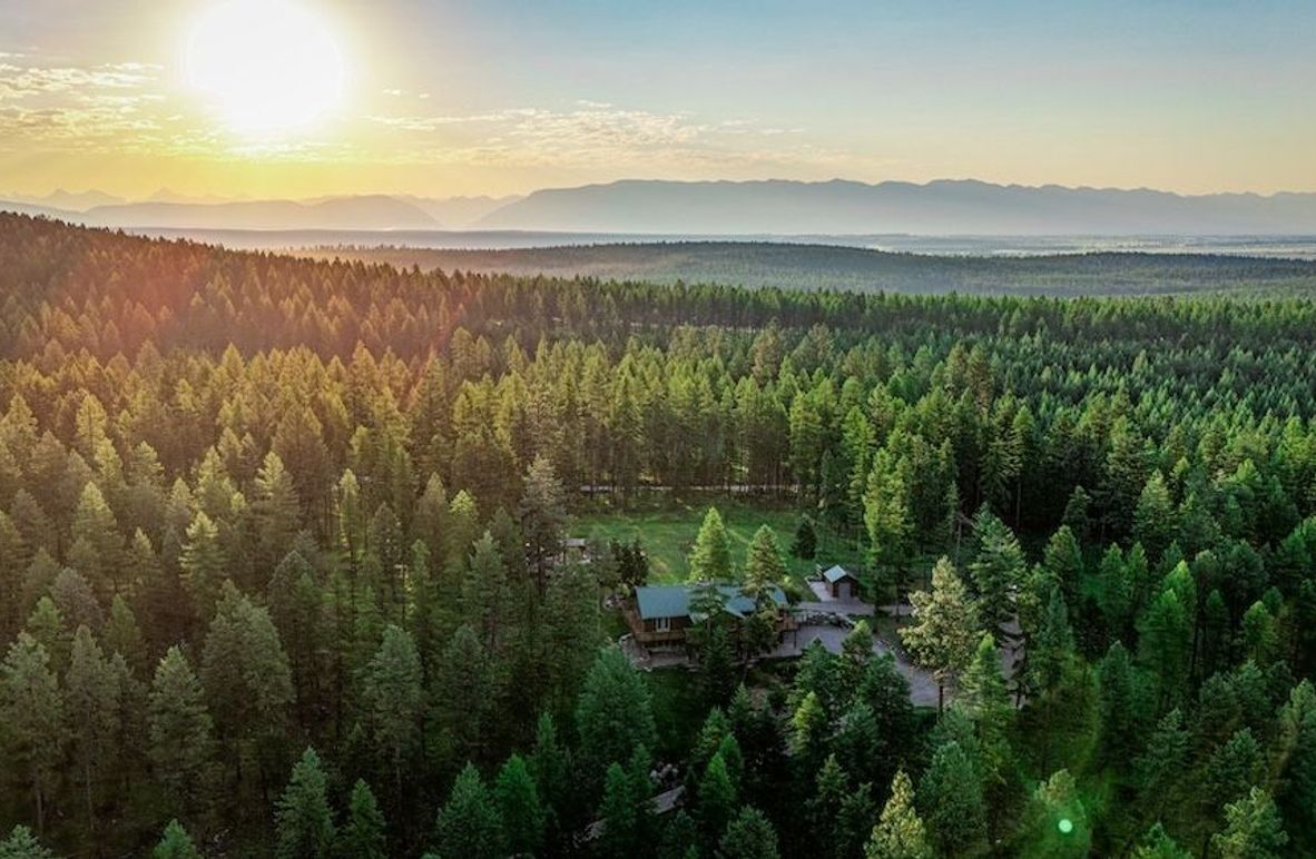 Elek Full Size -002.1