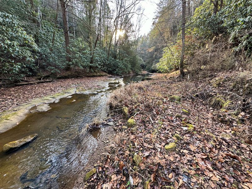 013 beautiful evening views form the creek