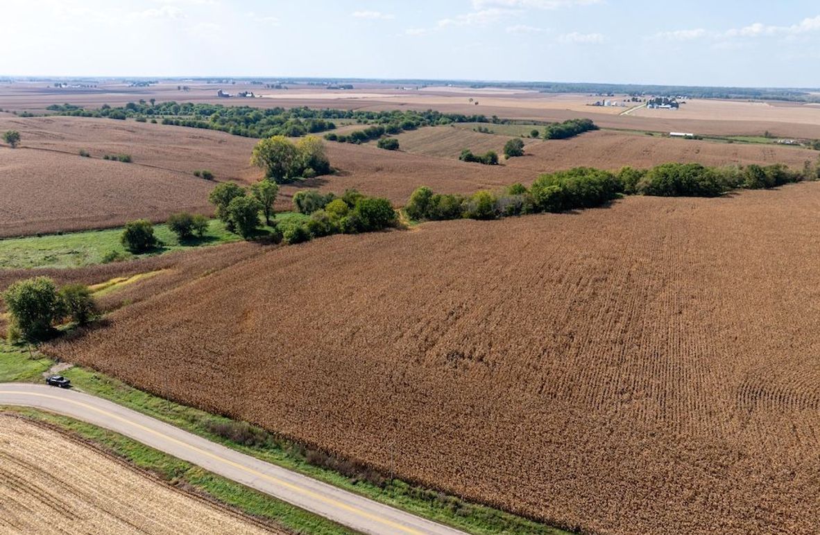 Copy of Whiteside 181_3