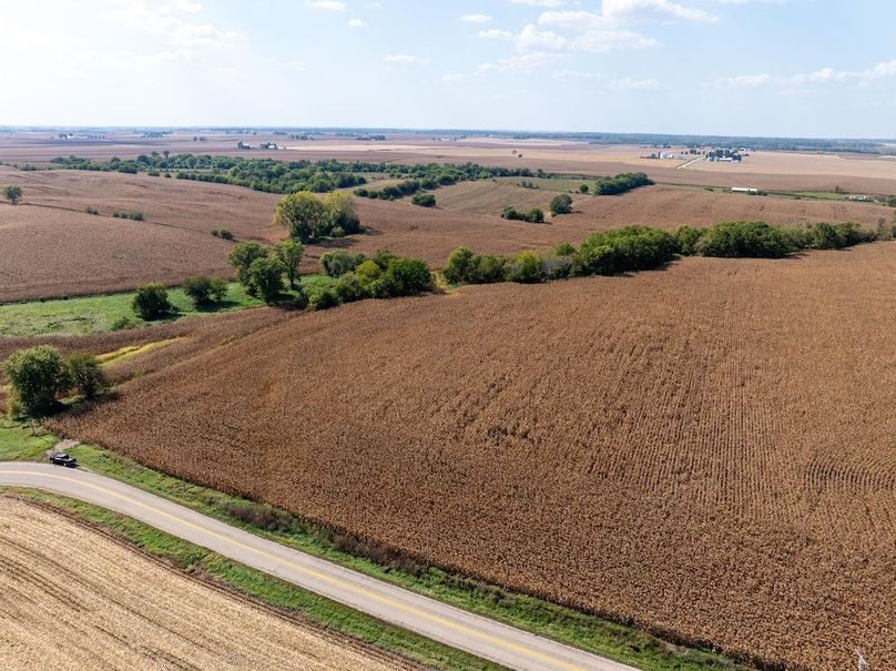 Copy of Whiteside 181_3