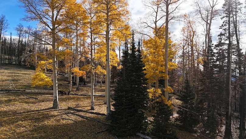 DJI_20250927094550_0239_D