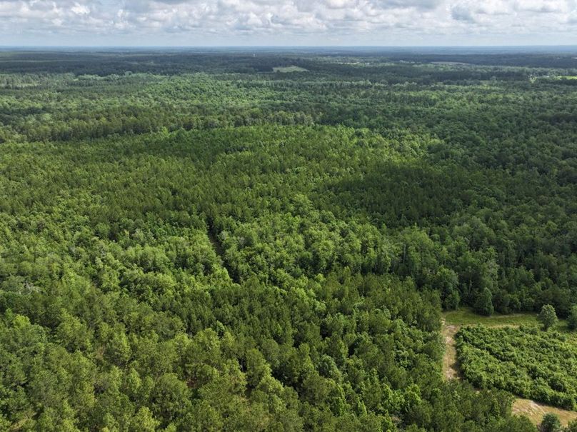 dji_fly_20250612_101840_0106_1750261384441_photo