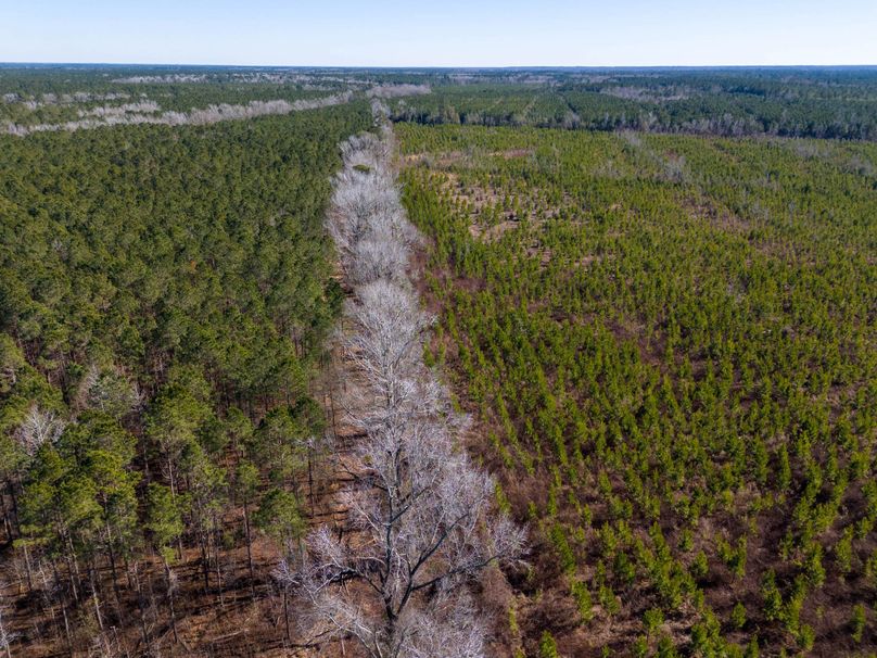 Pender NC 382 - Edits-9