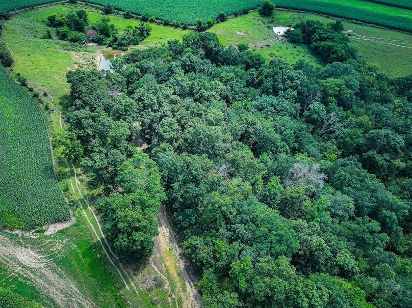 New Albin 8_8 edits-19