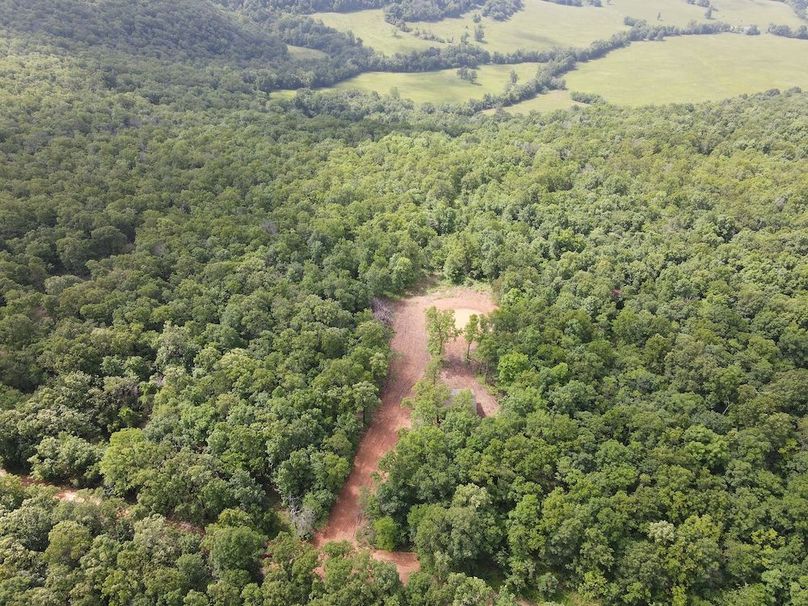 DJI_0385
