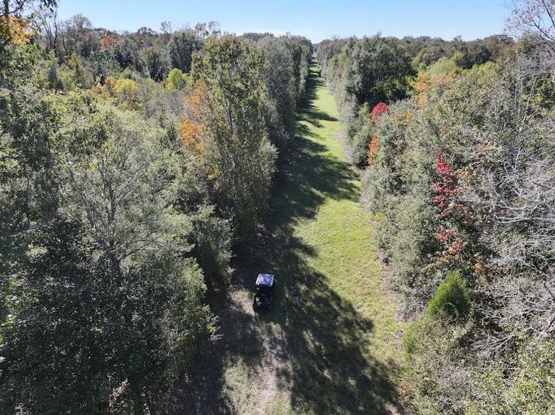 dji_fly_20251103_141038_0703_1762362212158_photo