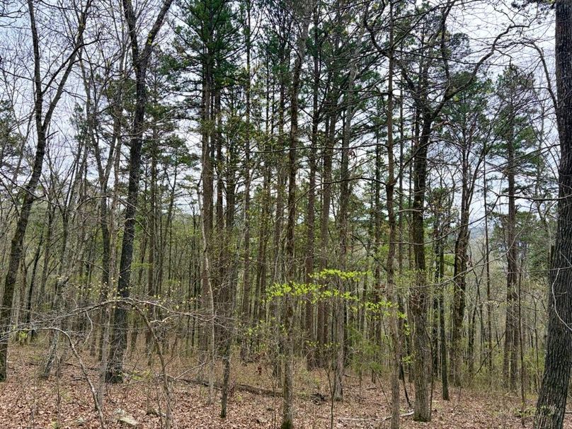 FDDBA4CA-ACFA-46BD-BD34-8A3F245BD068_1_201_a