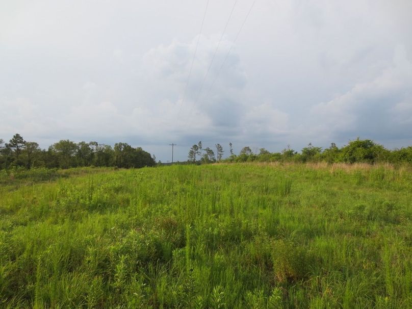 D3B6055C-D89D-49B2-86DE-6103E8305F5C_1_105_c