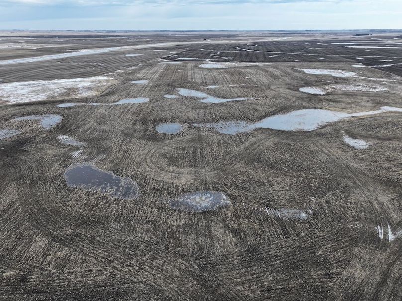 DJI_20260216151027_0094_D