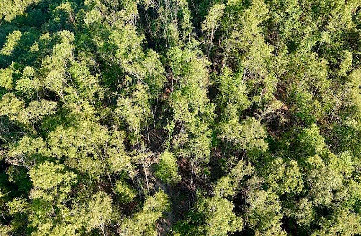 DJI_20250724190901_0004_D