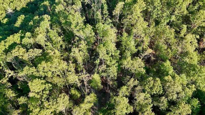 DJI_20250724190901_0004_D