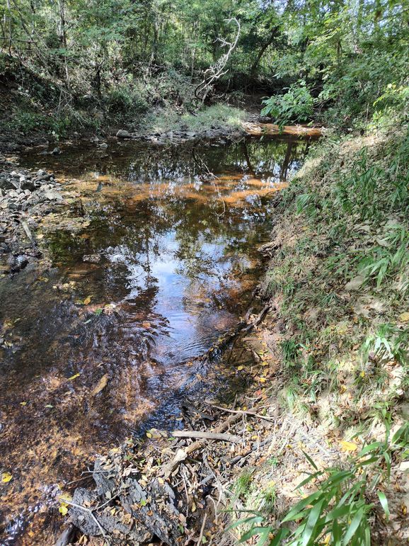 IMG_20231009_133101670_HDR