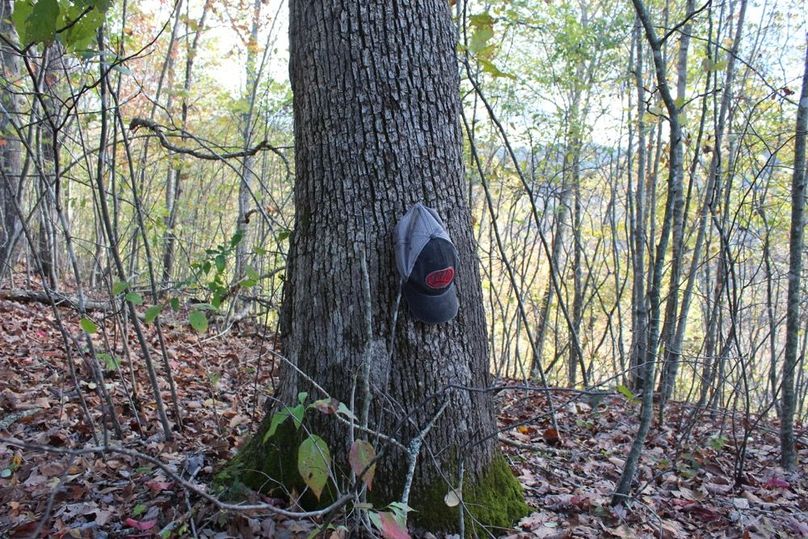 027 mature white oak