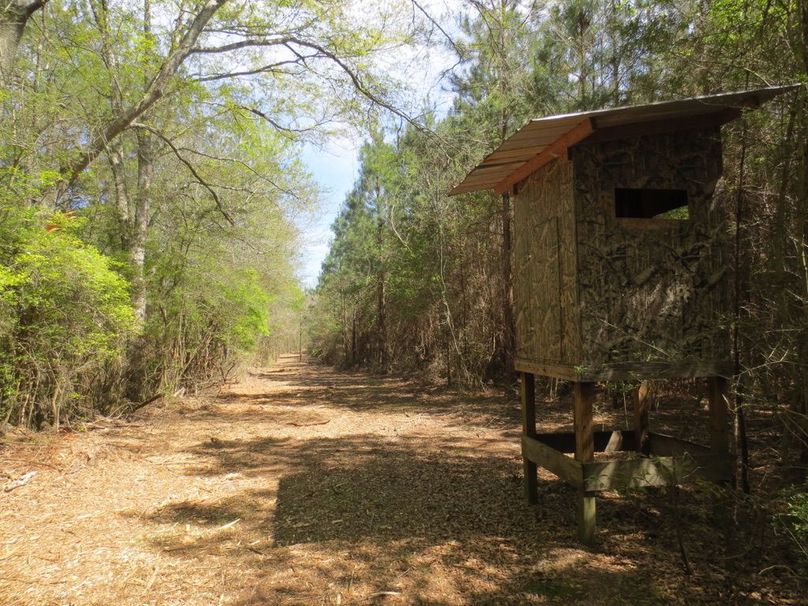 95849841-C547-46D7-A1B9-DC8D3AC54CCA_1_105_c