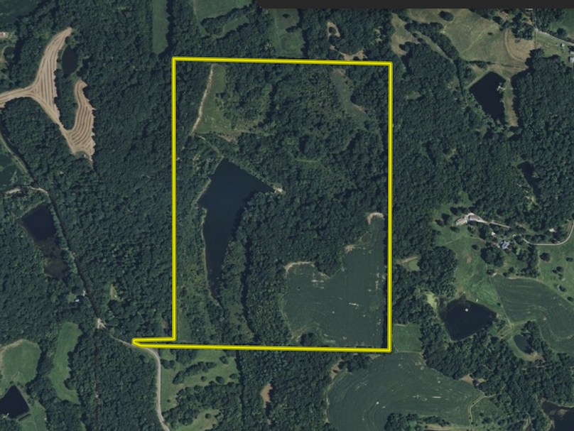 Screen Shot 2026-03-06 at 4.59.46 PM