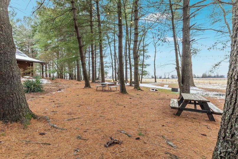 31-2E7A6312_43301 Spinks Ferry Rd - Absolute Altitude -12 - 2025 - 53