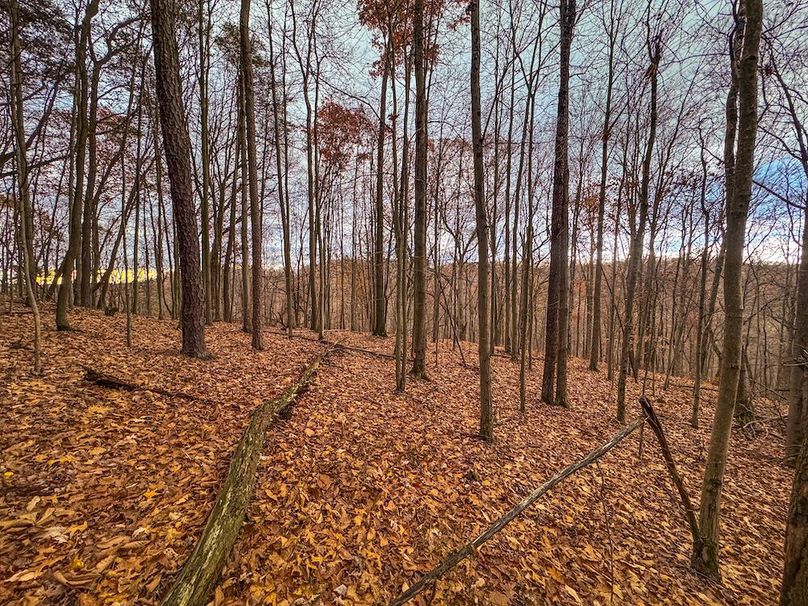 Ritchie, WV 14.081 AC Currey-30