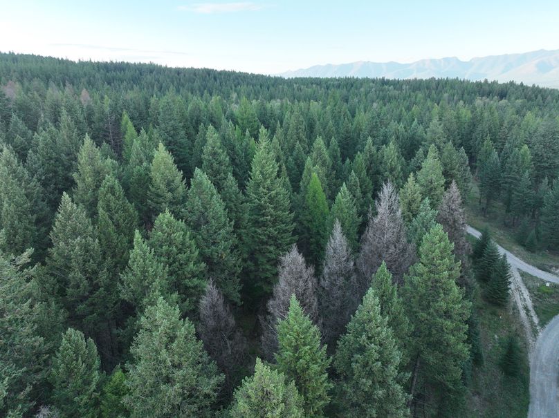 DJI_0586