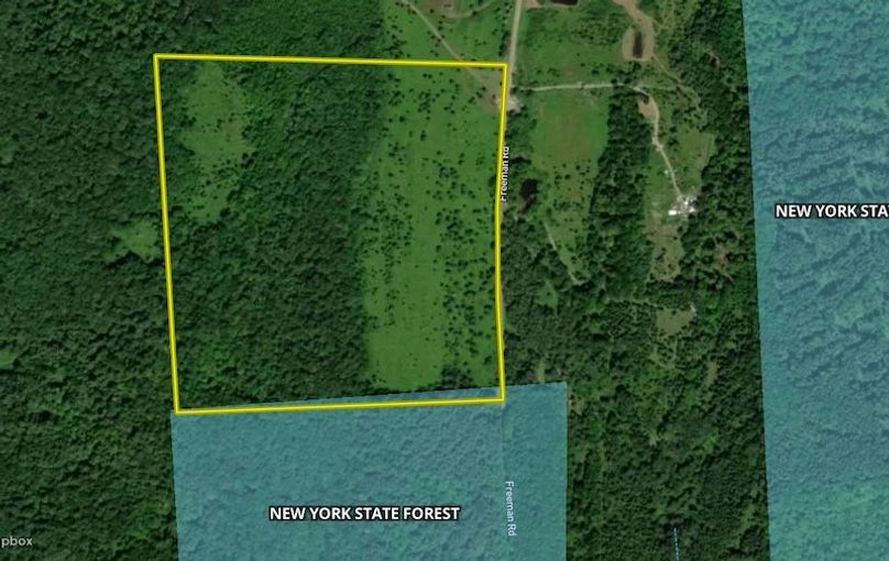 Chenango 56.09 Treiling Estate Google