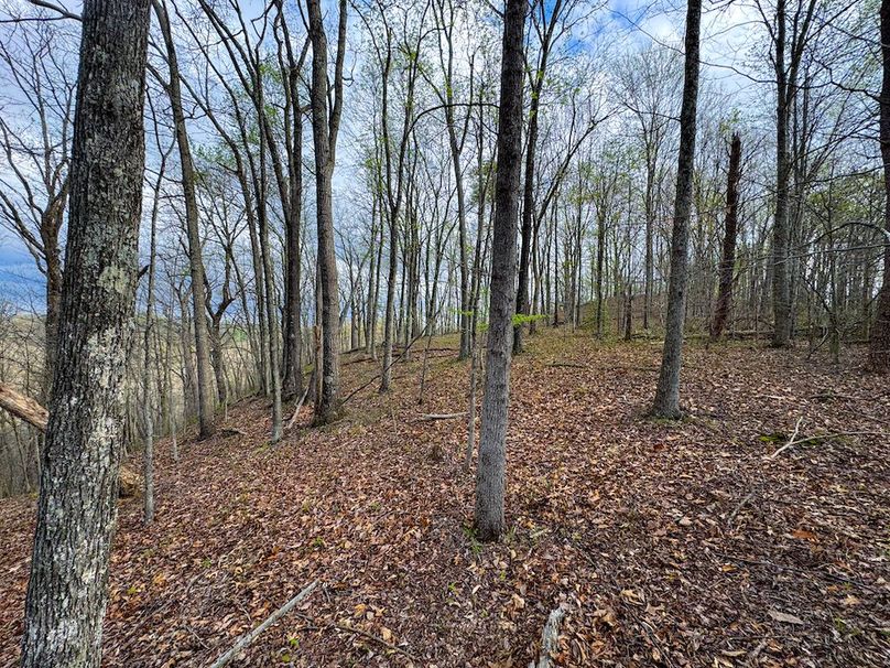 Calhoun, WV 132.84 AC Szegi 2-139