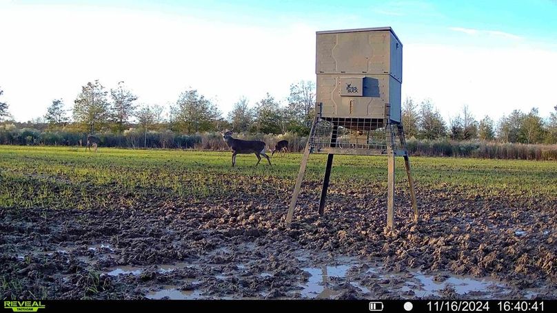 016579002873979-41-2-11162024172640-HD-SYFW00248