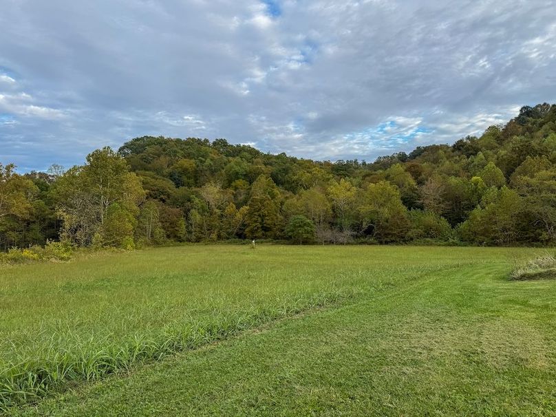 Greenup 77.28 Holsinger-48