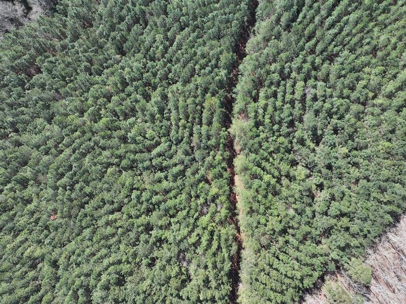 010AE - 257 Acres - Drone-8