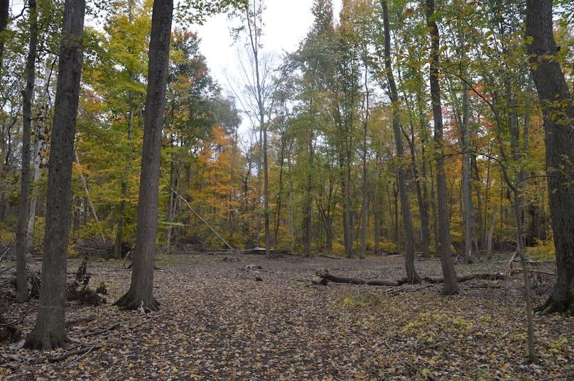 Copy of new plot opening