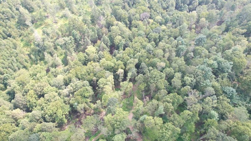 dji_fly_20250806_151856_609_1754528918292_photo