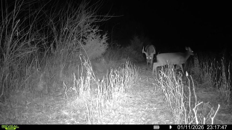 Copy of 016579001744932-94-4-01112026231747-V-SYFW07155