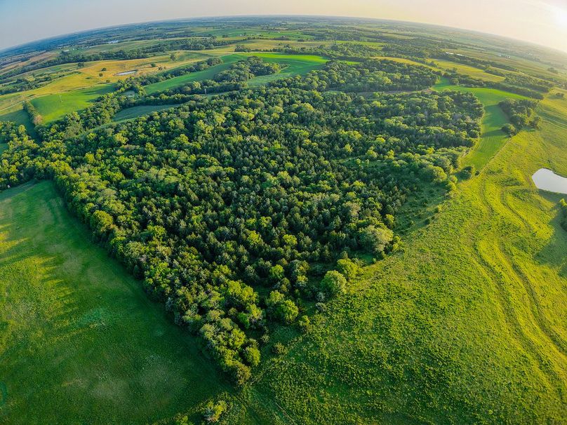 DJI_20250723194448_0366_D