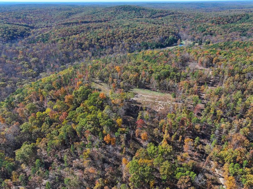 DJI_20251104130135_0833_D