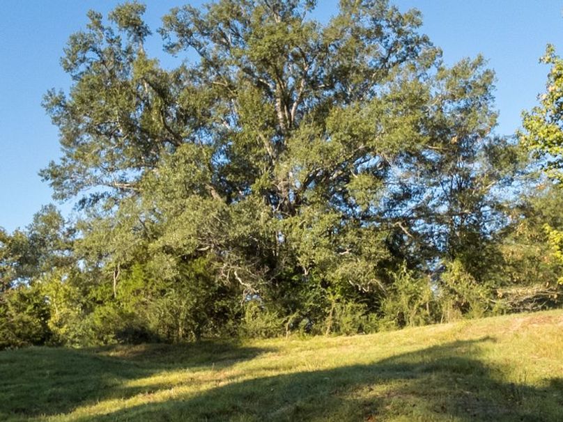 Hinds Co - 30 - Newman-15