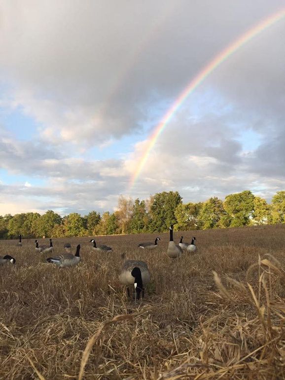 FB_IMG_1757125281169