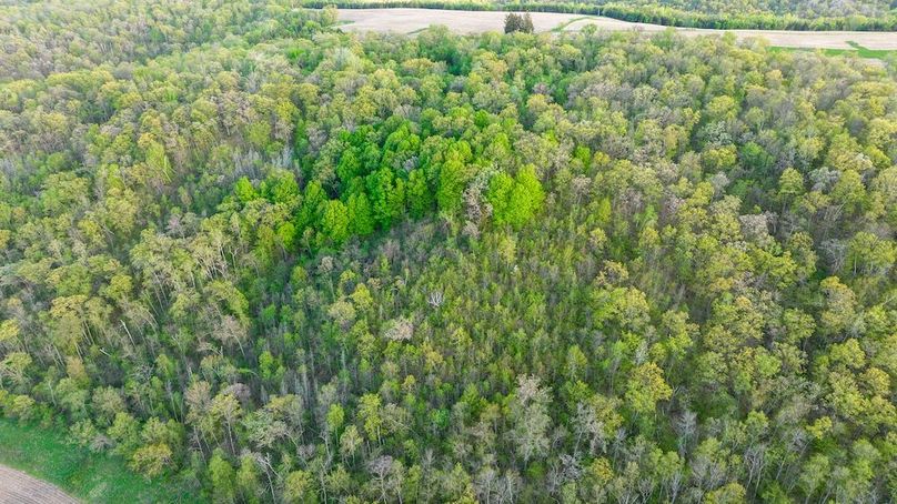 DJI_0337