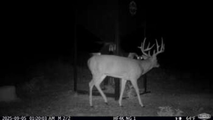 1295a4fd3de11ae9c099d250e2d4f5b1-small