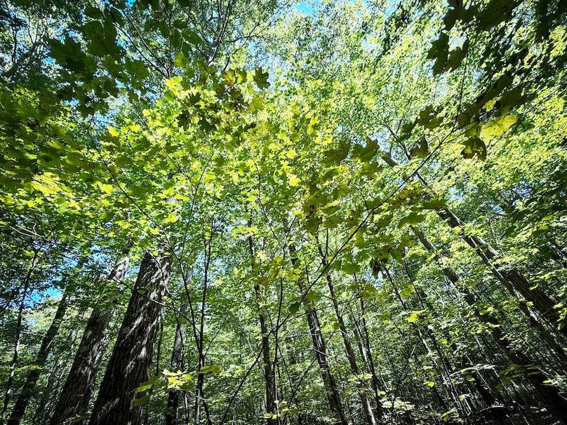 Tioga NY 64 Shores 23