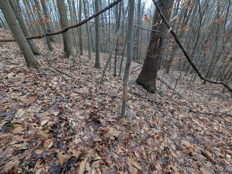 PXL_20260107_180750410.MP