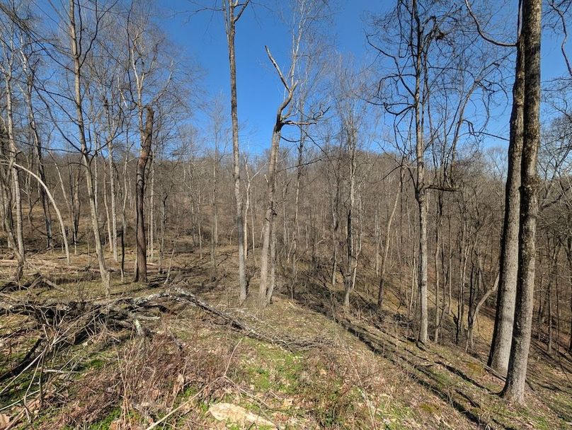 PXL_20260326_170622253.MP