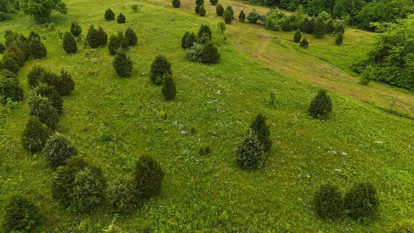 DJI_20250605125324_0609_D