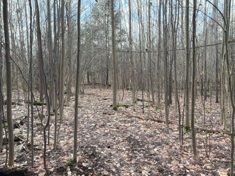 127B4C65-B528-443B-BE62-345480C9F821_4_5005_c