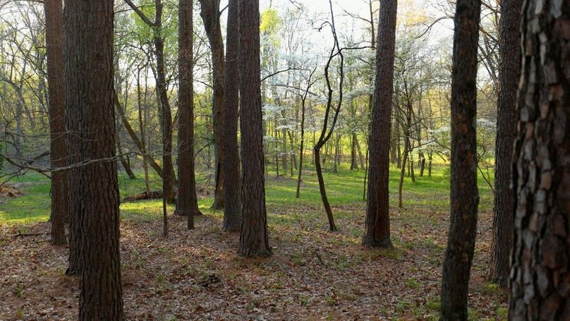 WILLIAMSON, IL 65.00_02_15_09.Still018