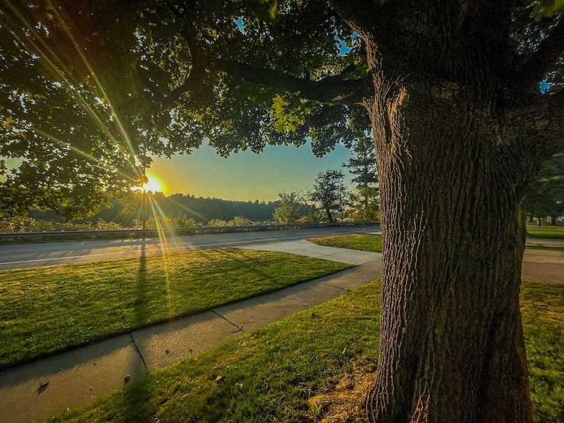 Wood 0.32, Ponce -48