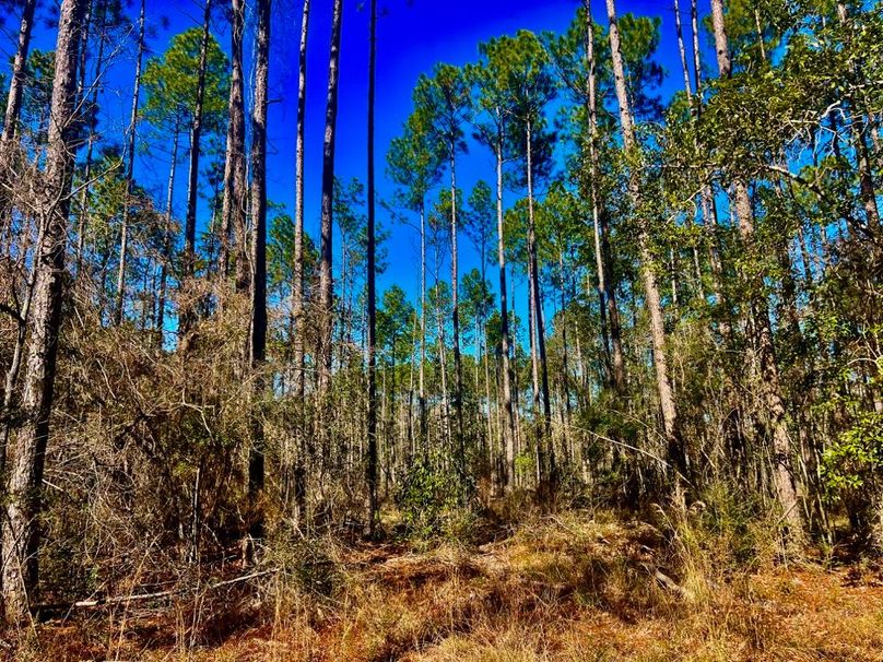 5C1645AD-E180-4D88-8046-D6F274DD964B_1_201_a