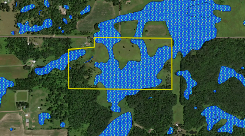 Mille lacs 76 ( Lewandowski) Wetlands