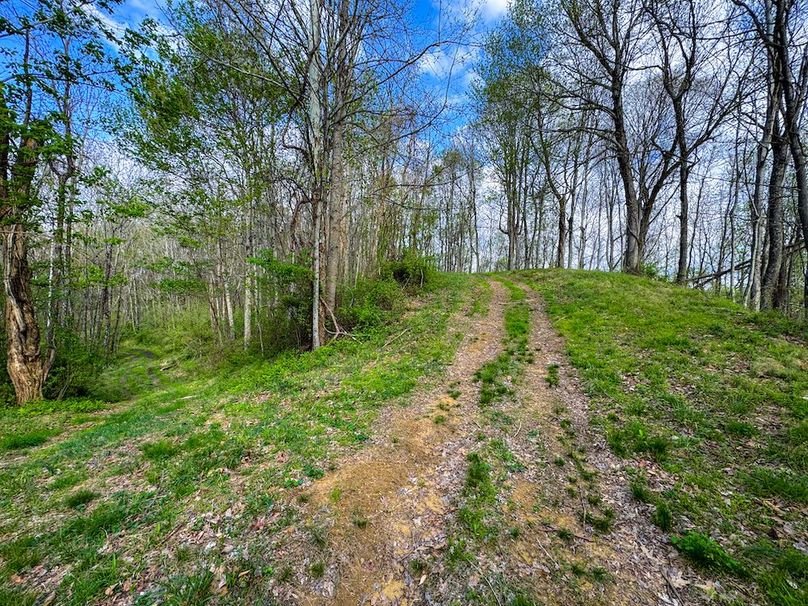 Calhoun, WV 132.84 AC Szegi 2-127