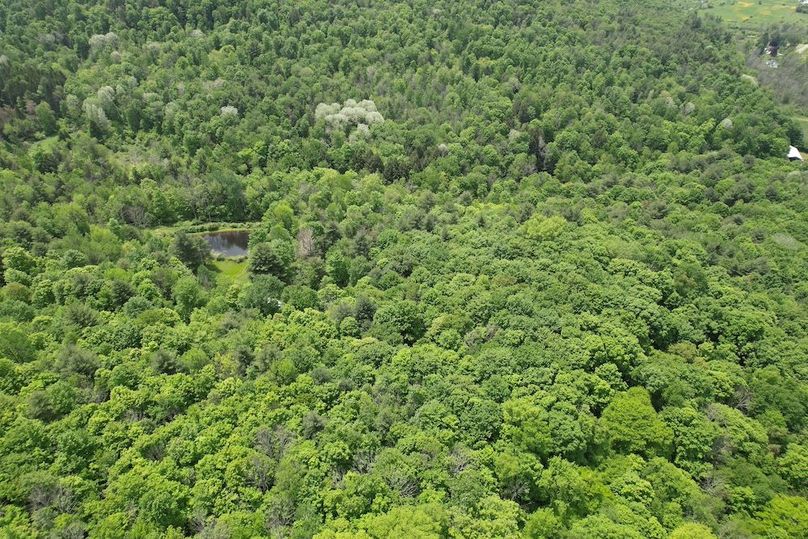 Tioga_78_Biada_Photos_85