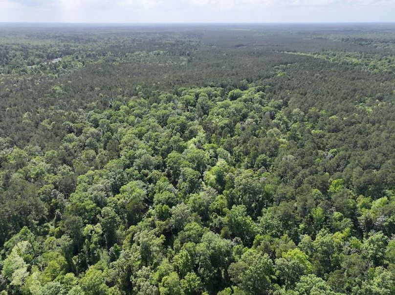 dji_fly_20260413_140732_0045_1776114932653_photo